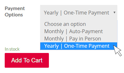 step-2 An image of the "choose a payment option" to illustrate the payment plan step in renting a storage unit from Lockwood Storage in Lockwood, MO.